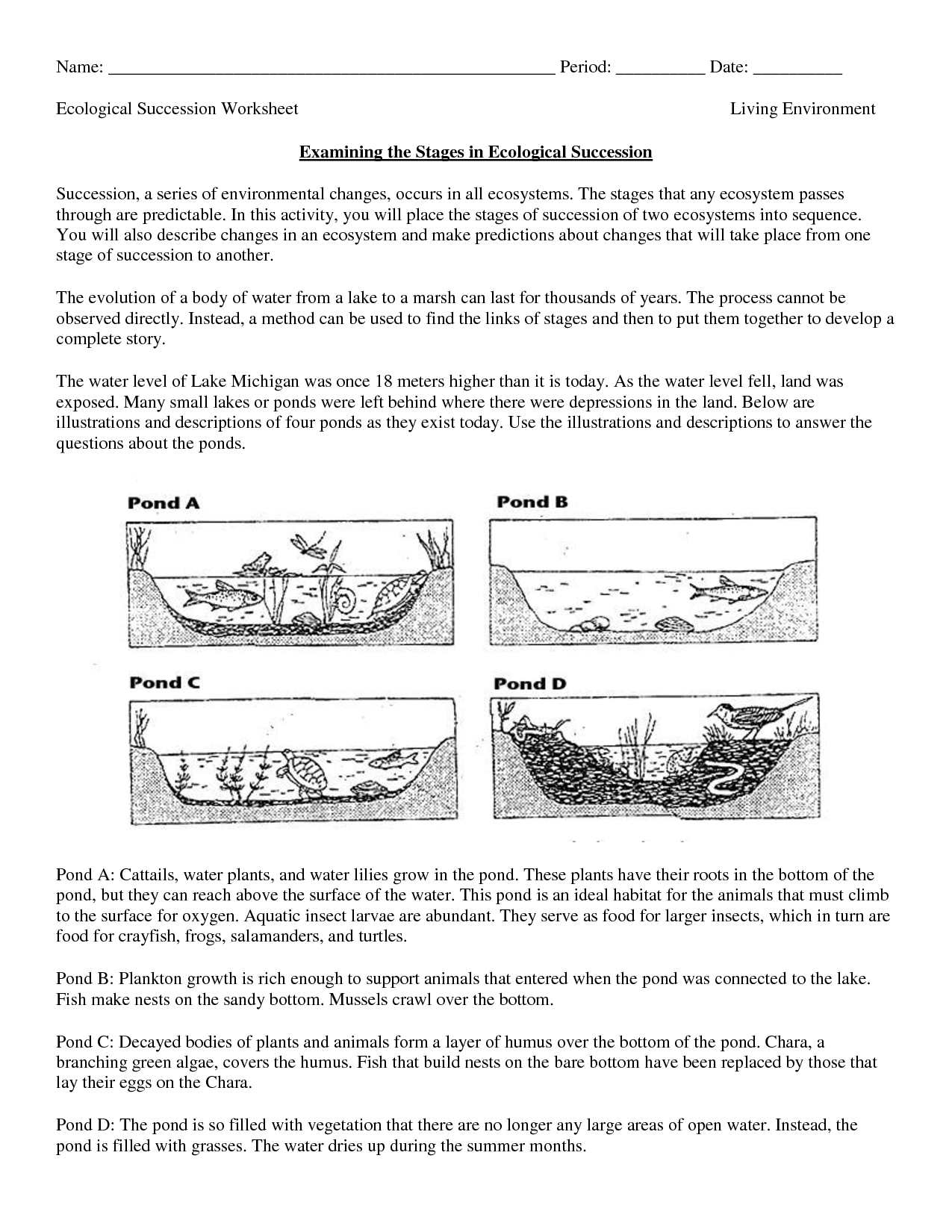 10th Grade Biology Printable Worksheets