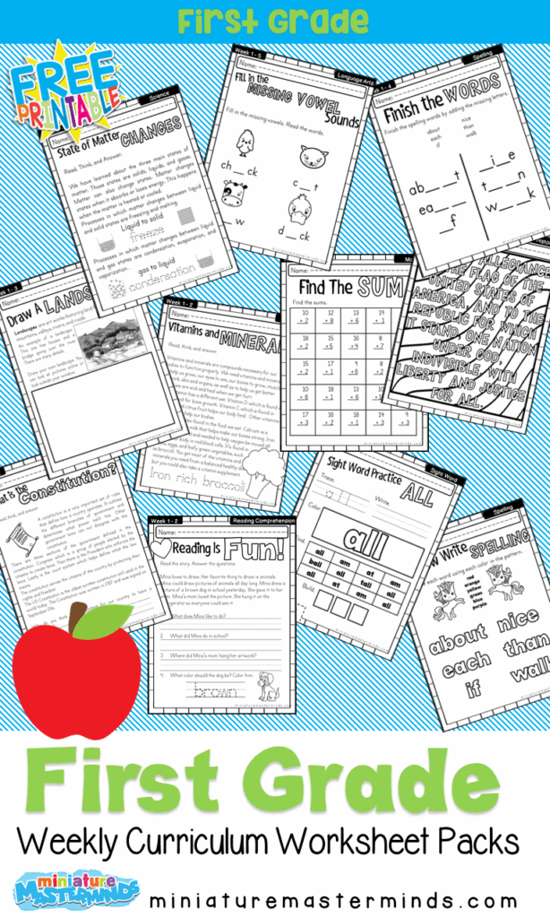 1st Grade Curriculum Printable Worksheets