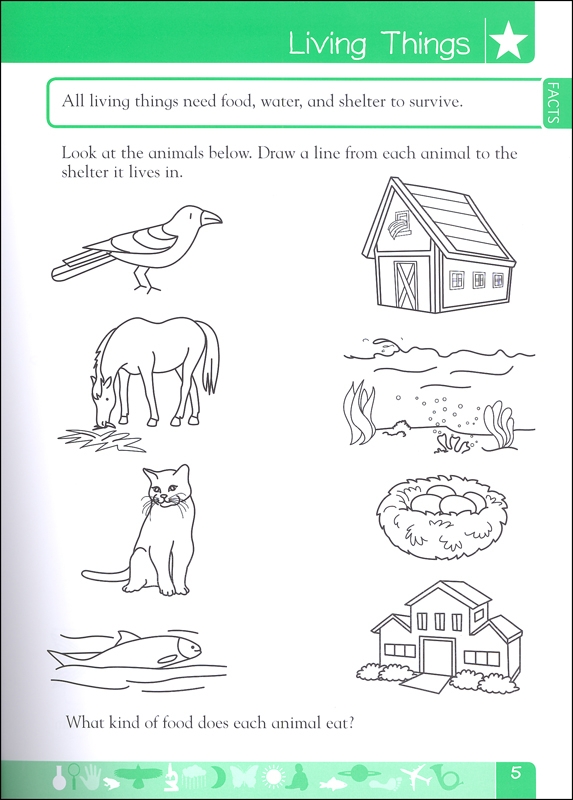 1st Grade Printable Workbooks NewFreePrintable