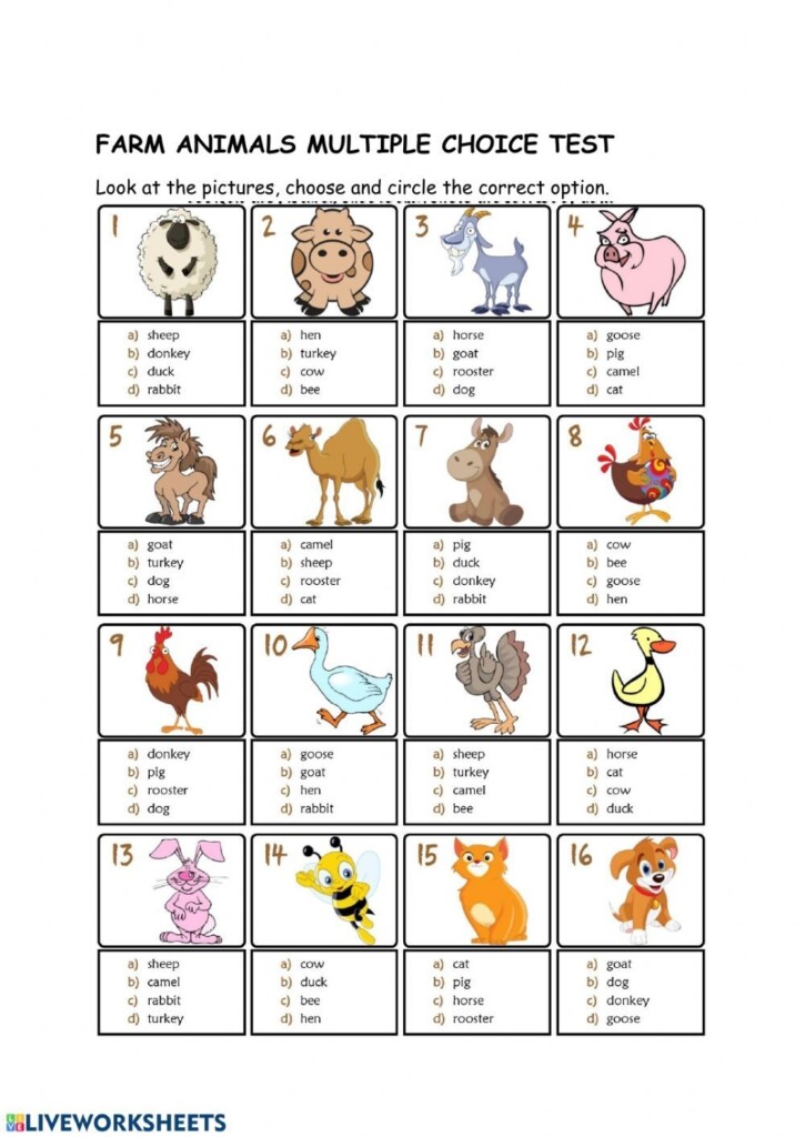 Animals And Their Needs Third Grade Science Worksheets Study 