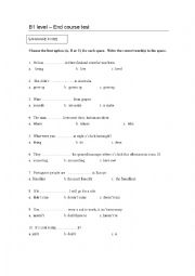 B1 Level End Course Test ESL Worksheet By Vandas24