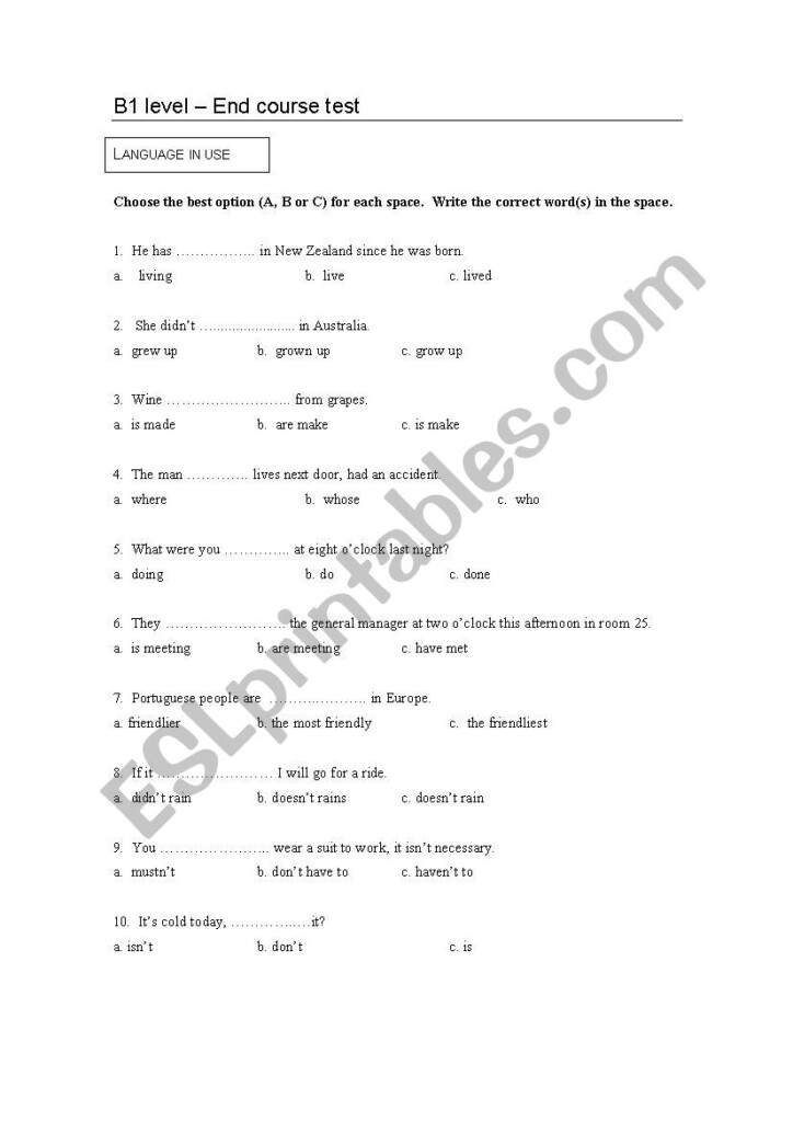B1 Level End Course Test ESL Worksheet By Vandas24