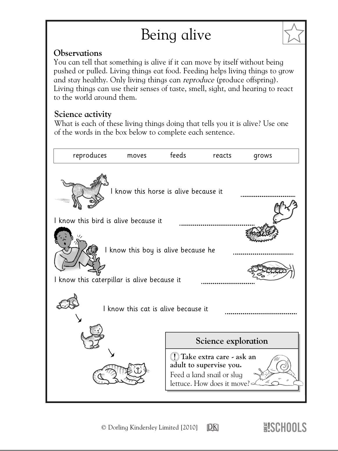 First Grade Printable Science Worksheets Scienceworksheets