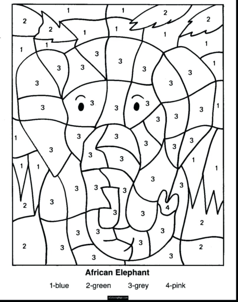 Free 1st Grade Worksheets Printable Packets