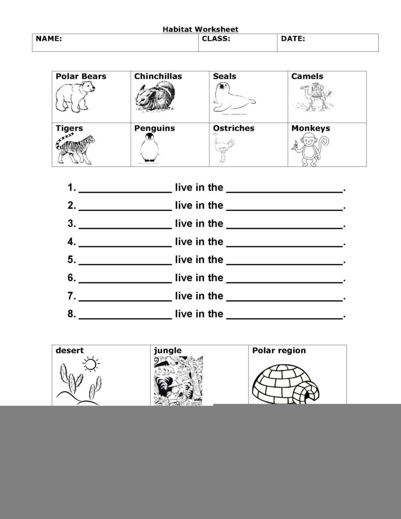 Free Printable 1st Grade Science Worksheets Learning How To Read 