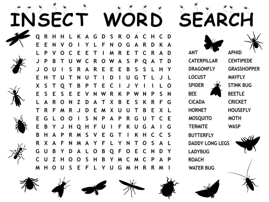 Free Printable 4th Grade Word Search Word Search Maker