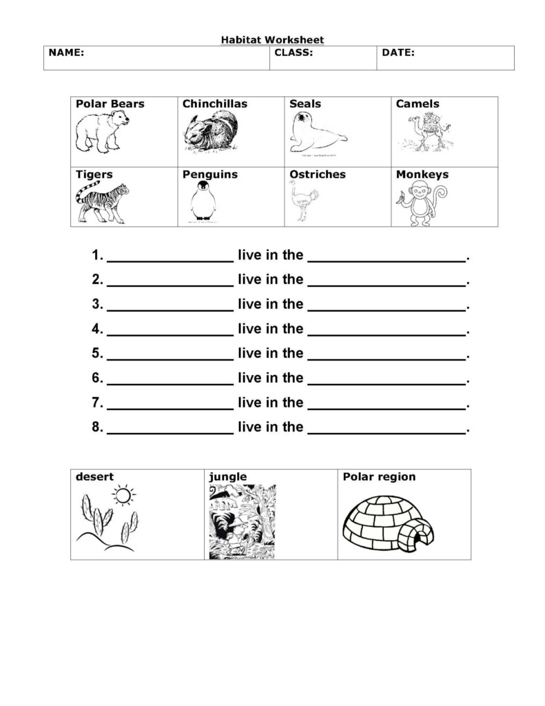 Free Printable First Grade Science Worksheets Scienceworksheets