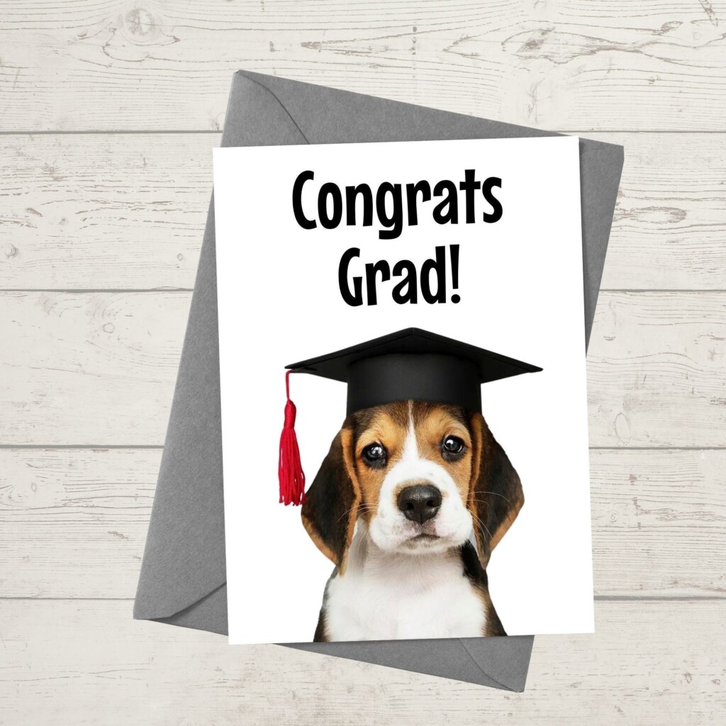 Printable Congrats Grad Card Instant Download 5x7 Digital Greeting 