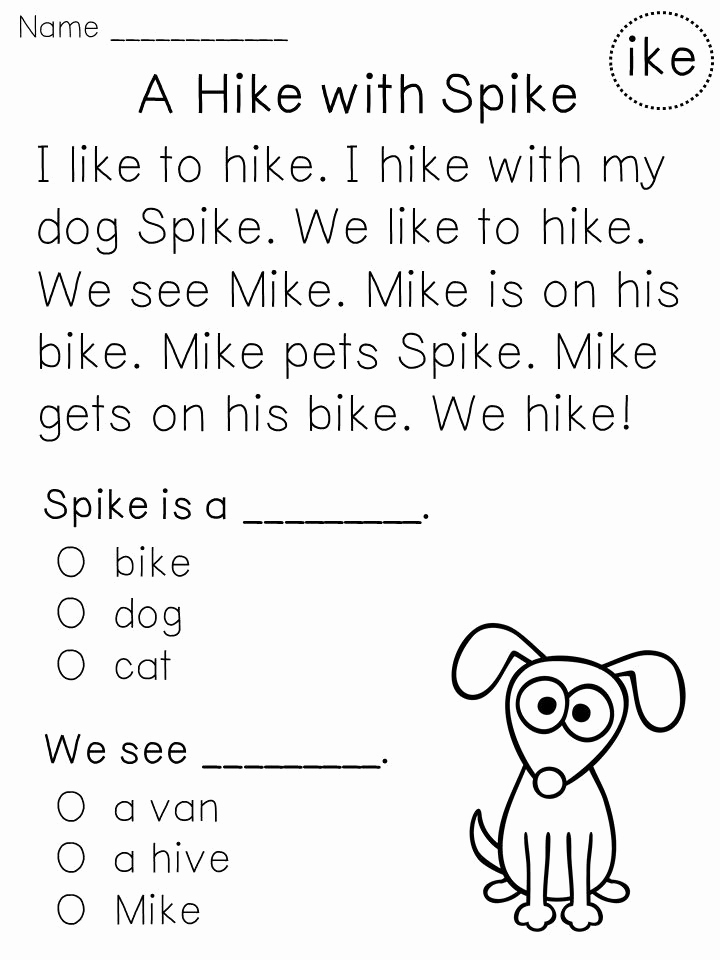 Printable First Grade Reading Worksheets Luxury Versatile 1st Grade
