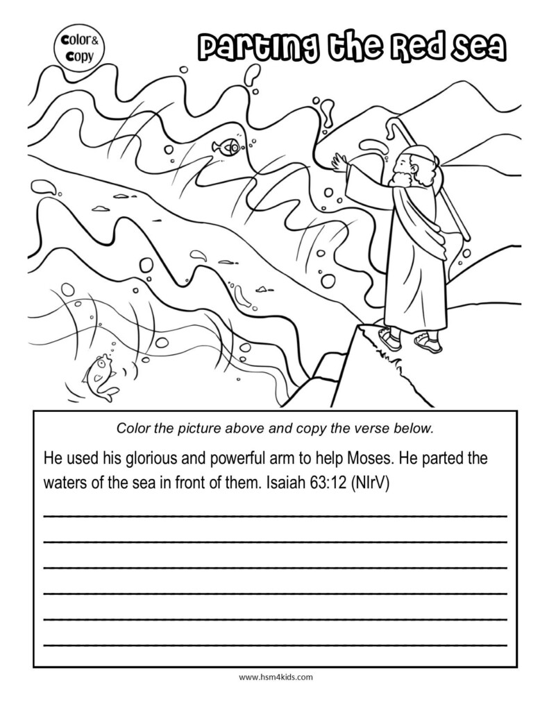 Printable Moses Worksheets
