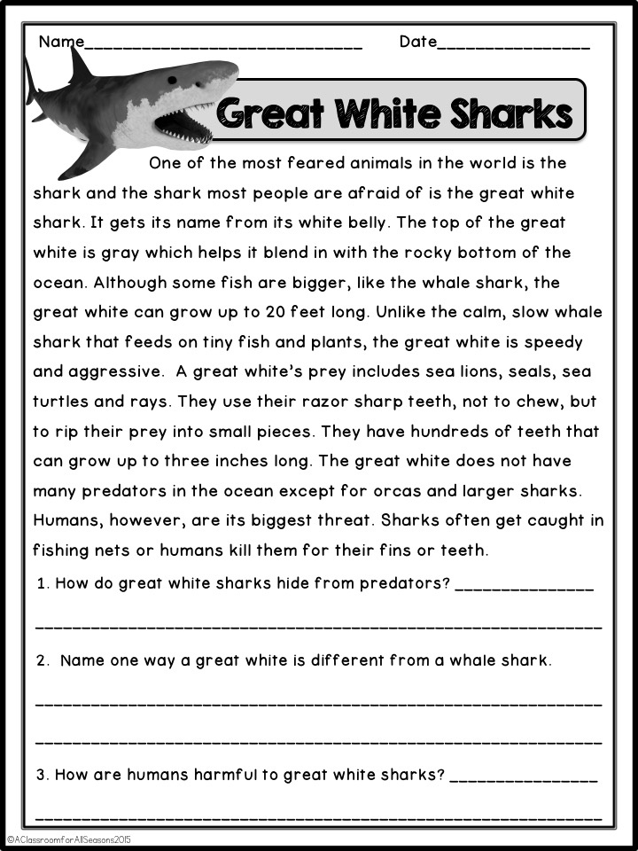 Printable Short Reading Passages Reading Comprehension Worksheets