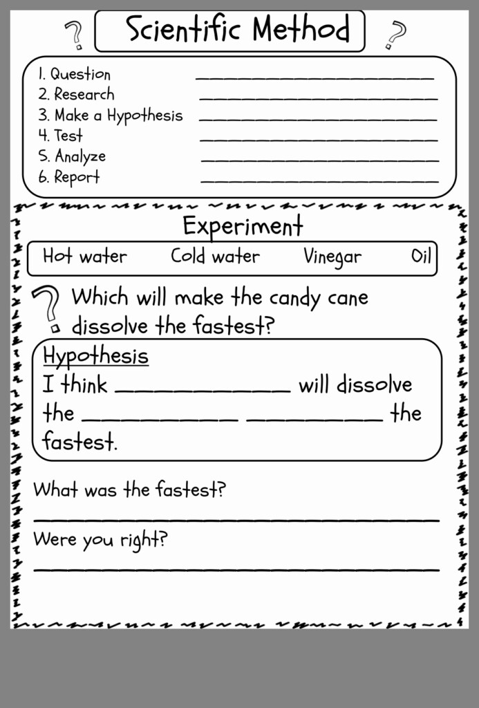 Science Worksheet 1st Grade Lovely 1st Grade Worksheet Science For 