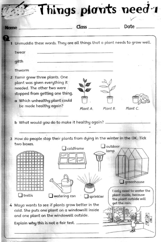 Science Worksheets For Grade 3 Printables Scienceworksheets
