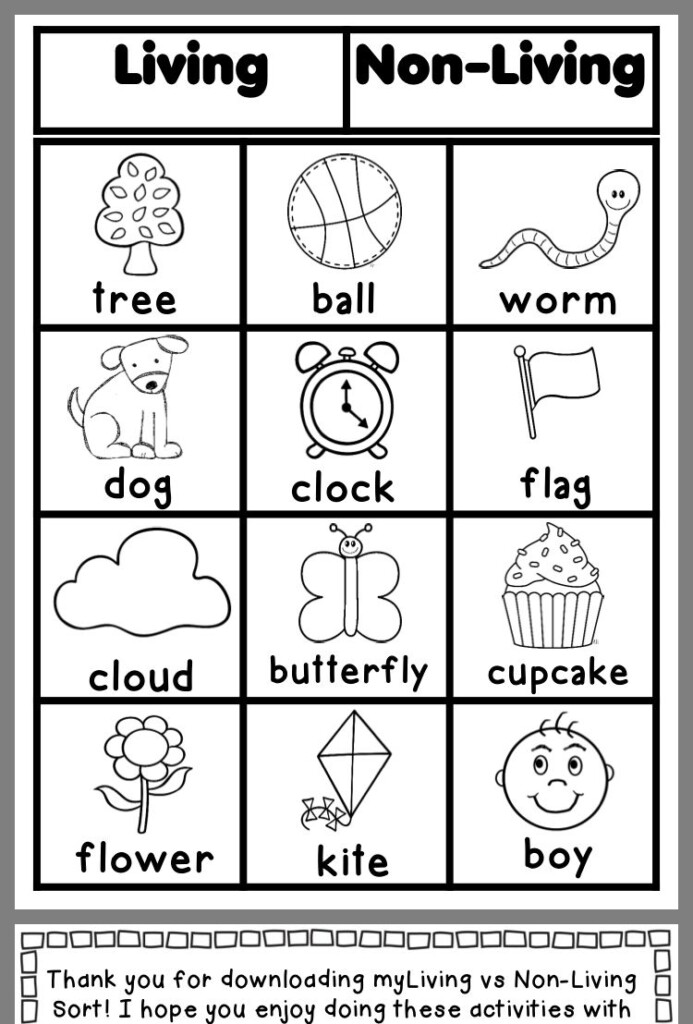 Teach Child How To Read Science For 1st Grade Worksheets 