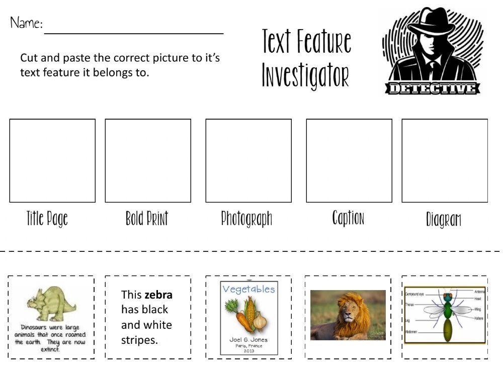 Text Features Worksheet 3rd Grade Management Twinkl USA 