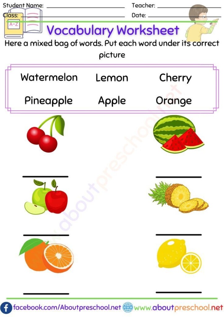 Vocabulary Worksheet 1st Grade Vocabulary Worksheets 2nd Grade 