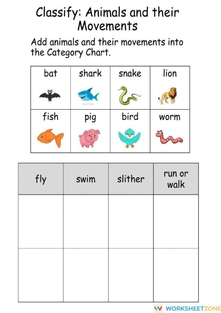 Vocabulary Worksheet quot Animal Movements Classify quot Animal Movement 
